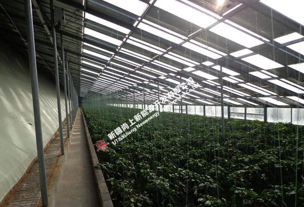 光伏蔬菜大棚-001